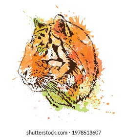 Tiger head, contour graphics on an abstract background of imitation of a watercolor texture. Vector illustration.
