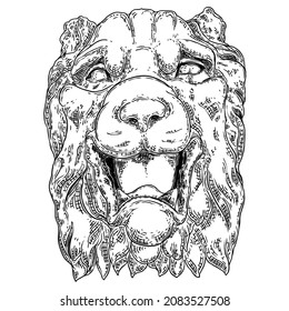 Tiger head decorative, roaring, cat face for emblems, badges or labels. Portrait of tiger growl isolated on white background. Vector.