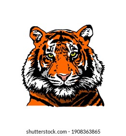 Tiger head. Detailed drawing of a tiger. The symbol of the new 2022. Vector illustration isolated on white background.