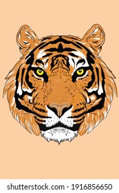 tiger head in detailer illustration style