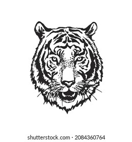 Tiger head drawn by black ink. Vector illustration. 