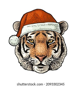 Tiger head dressed Santa Claus hat. Vintage color engraving illustration for poster. Isolated on white background