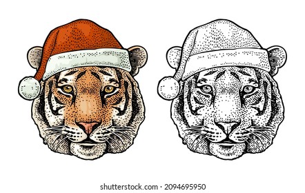 Tiger head dressed Santa Claus hat. Vintage color engraving illustration for poster. Isolated on white background