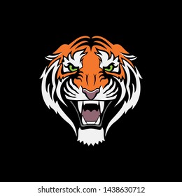 tiger head face portrait vector black backround