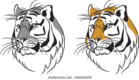Tiger Head, Tiger face, Watching Tiger
