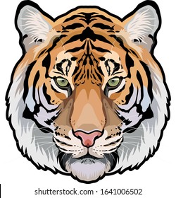 Tiger head front isolated colored vector illustration