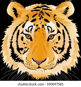 tiger head graphic vector
