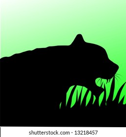 tiger head in green background	