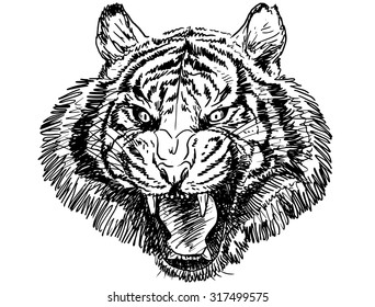 Tiger head, hand draw monochrome on white background.