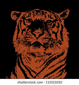 tiger head. hand drawing. engraving style. vector illustration
