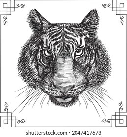 Tiger head. Hand drawing. Engraving style. Vector illustration sketch line with  EPS 10.Isolated on white background