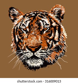 tiger head. hand drawing. vector illustration