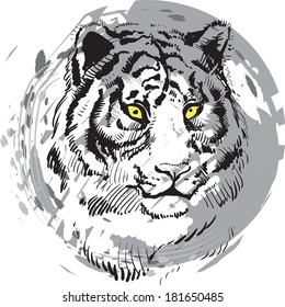 Tiger head hand drawn 
