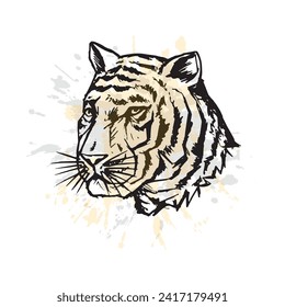 Tiger head hand drawn grunge style illustration vector