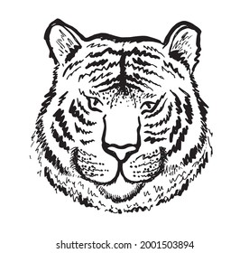 Cabeza de tigre, ilustración dibujada a mano, aislada en fondo blanco.