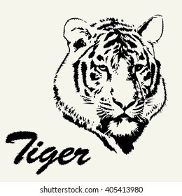 Tiger head hand drawn. Tiger sketch isolated background. Stylized haired inscription Tiger.