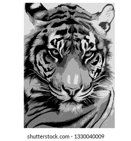 Tiger head hand drawn vector illustration