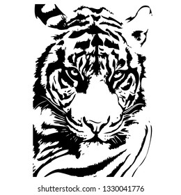 Tiger head hand drawn vector illustration