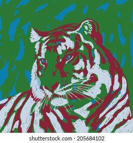 Tiger head high color contrast drawn graphic illustration