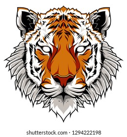 Tiger Head Illustration