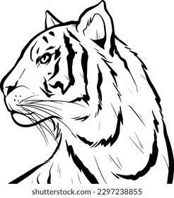 Tiger head illustration, Logo, vector