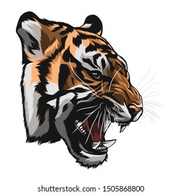 Tiger Head Illustration T-shirt Design