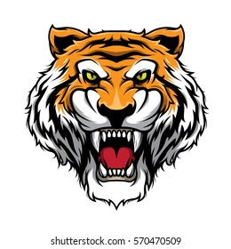 Tiger Head Illustration Vector