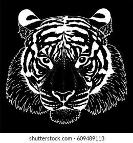 Tiger Head Illustration Vector