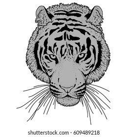 Tiger Head Illustration Vector