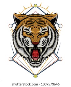 Tiger head illustration. Vector tiger. design for T shirt , mascot, logo team, sport, metal printing, wall art, sticker