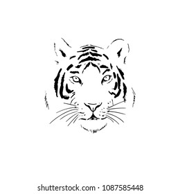 tiger head, ink wildlife illustration