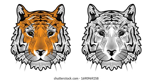 Tiger head isolated on white background