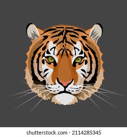 Tiger Head. Jungle animal. Wild cat vector illustration.