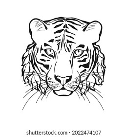 Cabeza de tigre. Arte de línea. Vector ilustra aisladamente sobre blanco. Esbozo dibujado a mano. Monocromo.