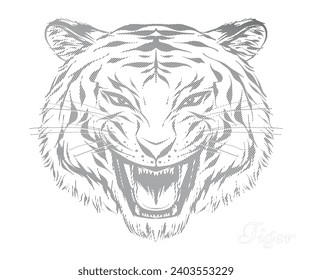 Tiger Head Line Sketch Blended