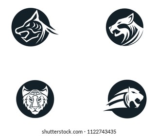Tiger head logo mascot white background