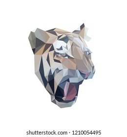 Tiger head, low polygonal face, isolated vector illustration