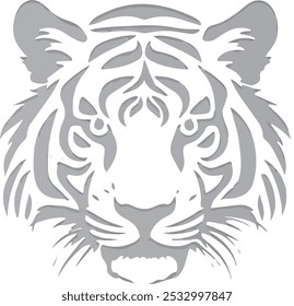 Tiger, Tiger head, New tiger, tiger 2024, tigers