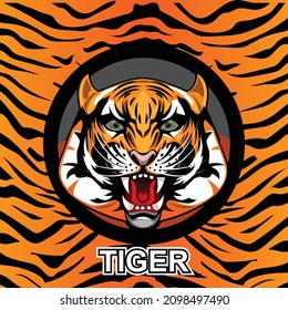Tiger head on body texture background.