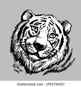 Tiger head on grey background, Portrait derawn black contour.,line art. Graphics vector illustration. Exotic animal face baackround, print, texture, logo, tattoo