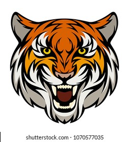 Tiger head on a white background