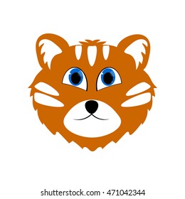 Tiger head on a white background