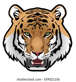 Tiger head on white background vector illustration.