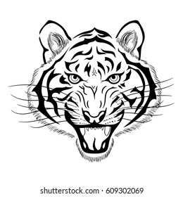 Tiger Head On White Background Stock Vector (Royalty Free) 609302069 ...