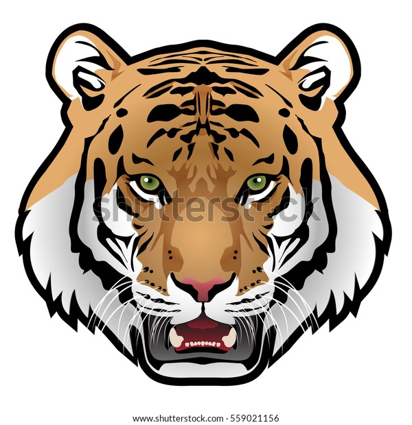 Tiger Head On White Background Vector Stock Vector (Royalty Free) 559021156