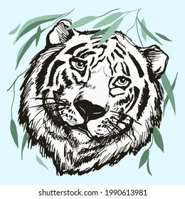Cabeza de tigre sobre un fondo blanco aislado, contorno negro de Derawn., arte de línea. Ilustración vectorial gráfica con hojas de bambú, árboles. Panorama de selva exótica, impresión, textura, logotipo