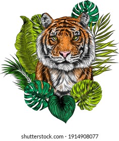 tiger head with palm leaves portrait drawing vector illustration