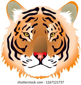 Tiger head, Pantera Tigris , Big Cat From Asia - Vectoe Illustration