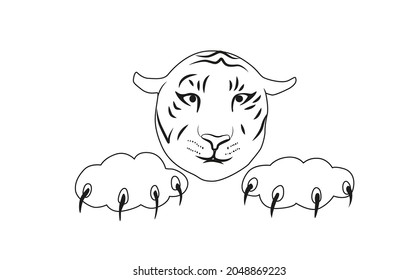 tiger head and paws with claws. Hand drawing tiger illustration vector.
