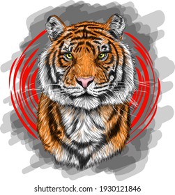 tiger head portrait drawing vector illustration